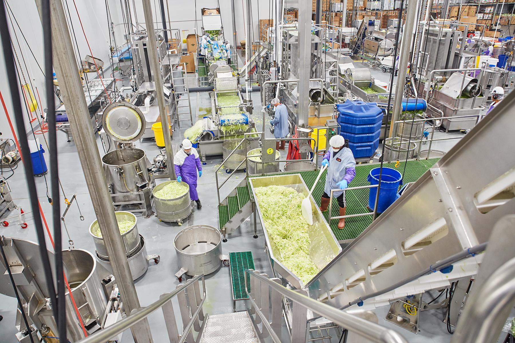 5 Advantages of Integrated DesignBuild for Food and Beverage Manufacturing Projects Ryan